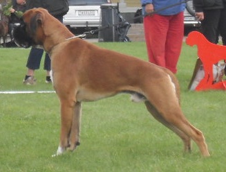 Nicke